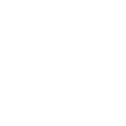 Ethylmercury in toluene