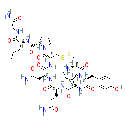 Oxytocin