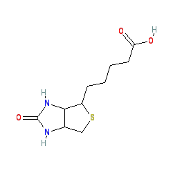 Biotin molekulaszerkezet