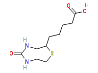Molecule structure