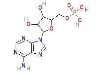 Molecule structure