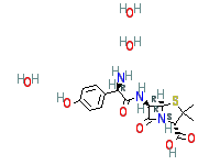 Molecule structure