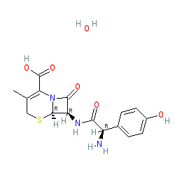 Cefadroxil